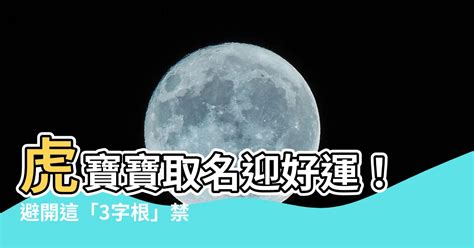 虎寶寶取名禁忌